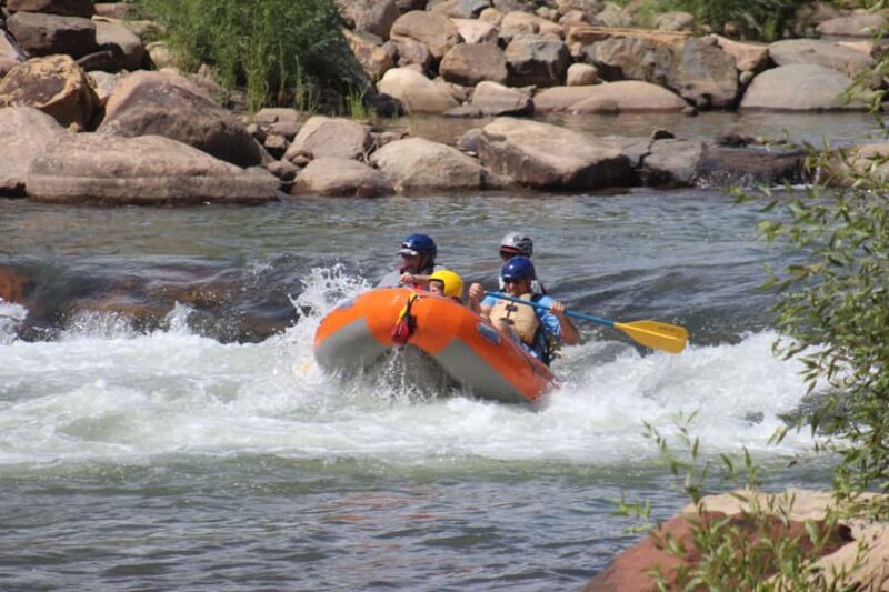 From Durango: Animas River Whitewater Rafting - Review Highlights and Guest Feedback