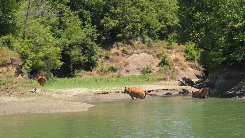 From Durrës: Albanian Wine Tasting with Vineyard & Boat Tour - Final Thoughts on the Durrës Vineyard and Lake Tour
