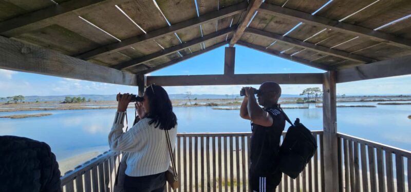 From Durrës: Divjakë-Karavasta National Park Day Trip - Starting Point and Transport Logistics in Durrës