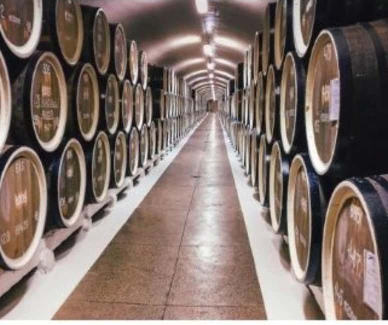 From Durres Golem: Cape of Rodon Castle & Wine Tasting Tour - Reviews Highlight the Tour’s Strengths