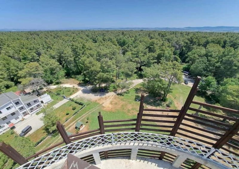 From Durres: Karavasta Lagoon & Apolonia Ancient City Tour - Practical Details: Transportation and Accessibility