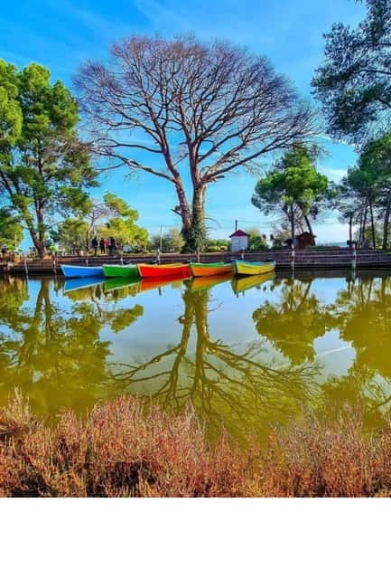 From Durres: Karavasta Lagoon & Apolonia Ancient City Tour - Tips for a Smooth Experience