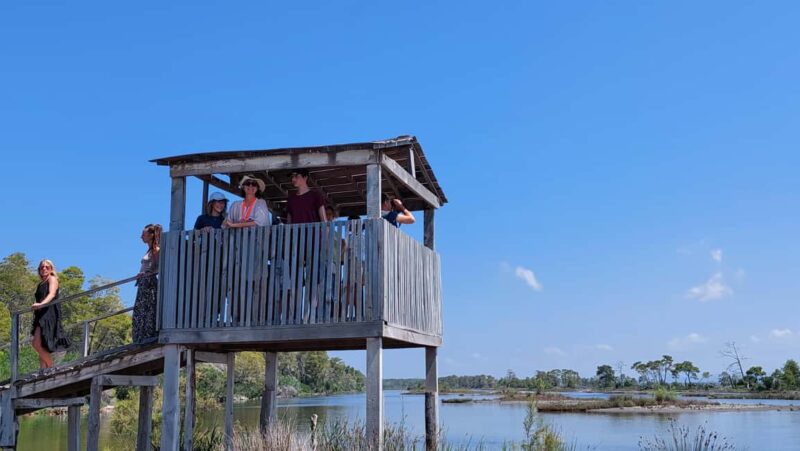 From Durrës: Karavasta Lagoon Birdwatching & Watch Tower - Key Points