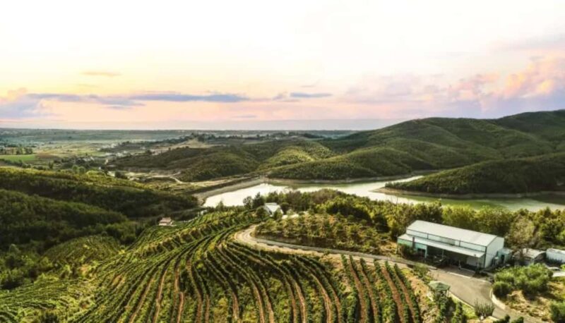 From Durres: Wine Tasting in Duka Winery - Discover Duka Winery’s Scenic Location near Durres