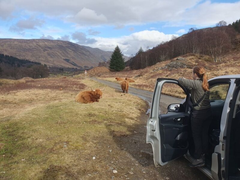 From Edinburgh: a Private Tour to a Majestic Highland Glen - Final Thoughts on the Tour’s Value