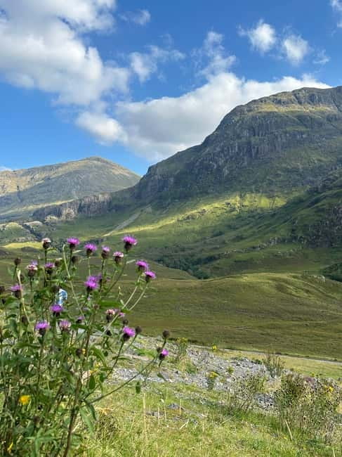 From Edinburgh: Glenfinnan, Fort William and Highland Cows - Crossing into the Cairngorms and Meeting Highland Cows