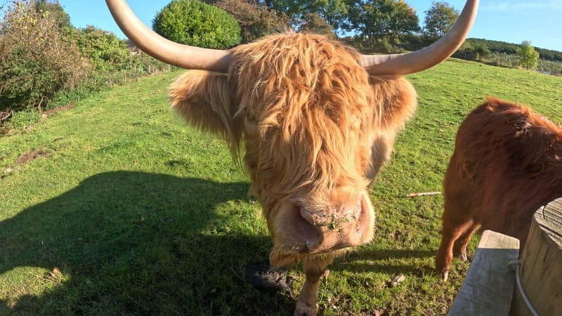 From Edinburgh: Highlands Land Rover Camping Adventure - Explore the Scottish Highlands in a Land Rover Defender on a 4-Day Camping Adventure