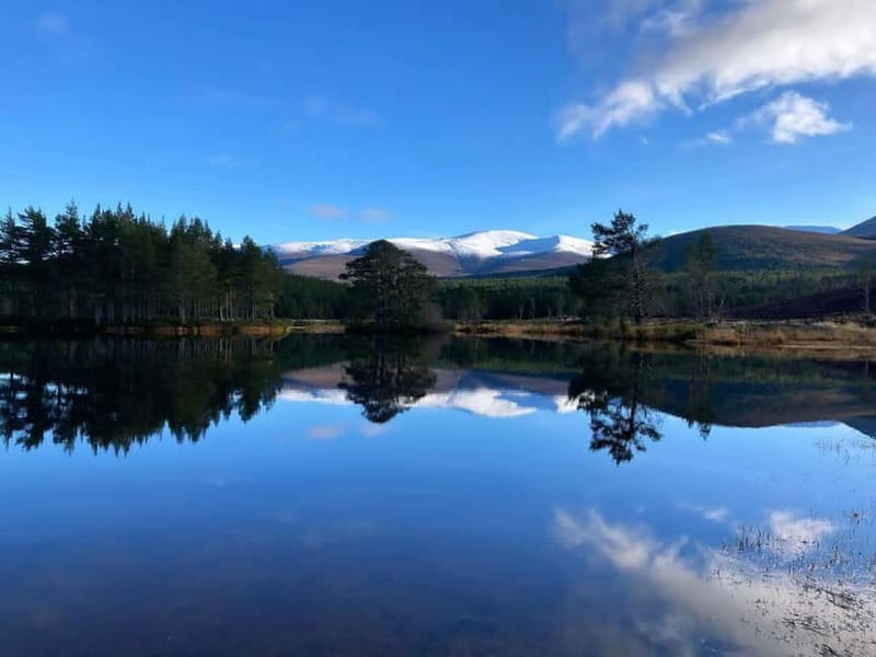 From Edinburgh: Highlands Land Rover Camping Adventure - Day Three: From Glenmore to Braemar