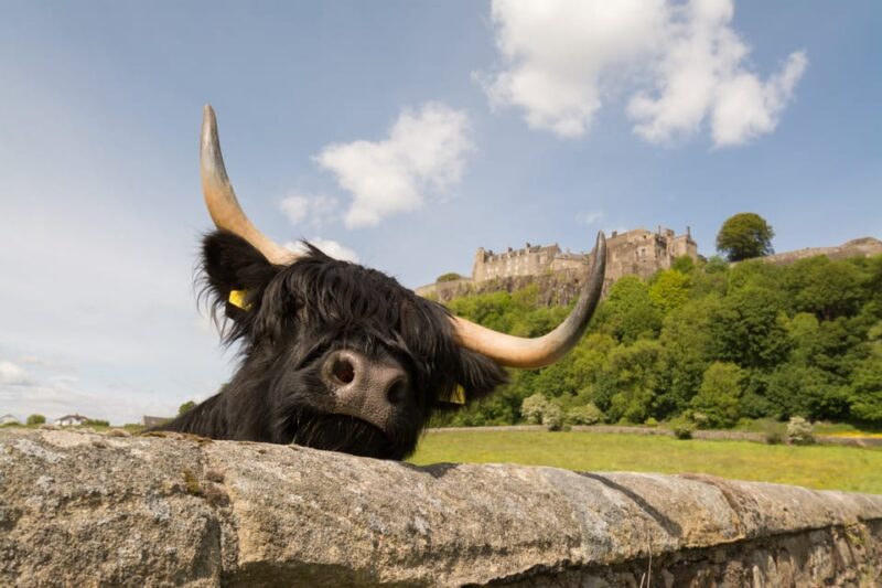 From Edinburgh: Loch Lomond, Stirling Castle & Kelpies Tour - Strolling Through Callander and Visiting Doune Castle