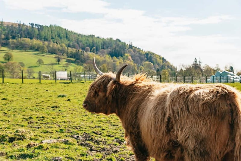 From Edinburgh: Loch Ness & Scottish Highlands Tour - Pricing, Cancellation, and Value