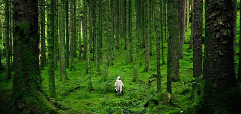 From Edinburgh: Private Tour of the Highlands & Isle of Skye - Outdoor Adventures and Nature Experiences on Skye