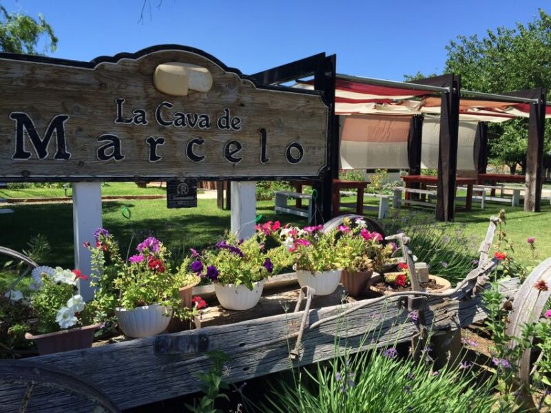 From Ensenada: Ojos Negros Valley Cheese & Wine Tasting Tour - Practical Details and Logistics