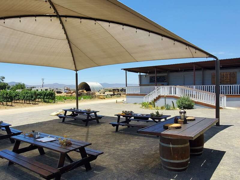 From Ensenada: Ojos Negros Valley Cheese & Wine Tasting Tour - Who Is This Tour Best For?