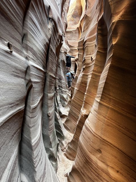 From Escalante: Zebra Slot Canyon Guided Tour and Hike - Explore Zebra Slot Canyon with a Guided Hike and 4x4 Transport
