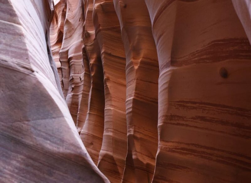 From Escalante: Zebra Slot Canyon Guided Tour and Hike - Approaching Zebra Slot Canyon: The Hike Begins