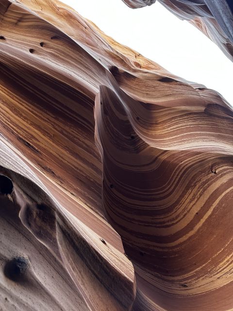 From Escalante: Zebra Slot Canyon Guided Tour and Hike - Customer Feedback and Tips for Future Participants