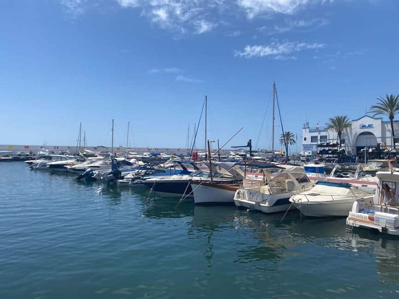 From Estepona, Mijas, Marbella: Marbella Private Tour with Transport, Tapas, and Drinks - Personalization and Comfort During the Tour