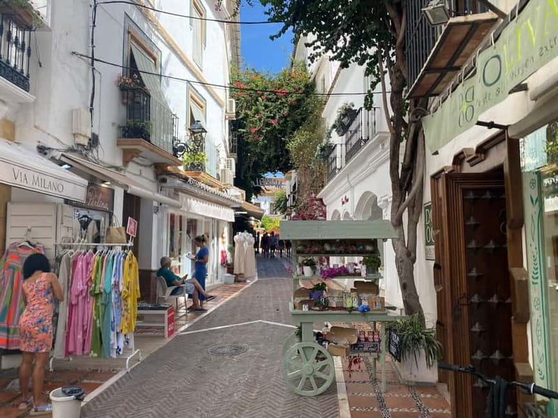 From Estepona, Mijas, Marbella: Marbella Private Tour with Transport, Tapas, and Drinks - Marbella’s Vibrant Culture and History