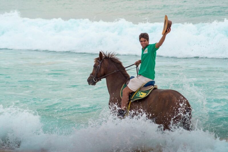 From Evora: Horseback riding on comporta beach - Key Points