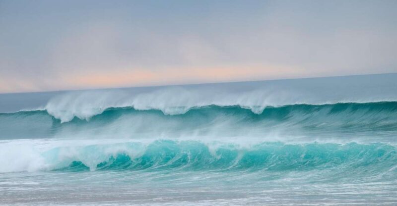 From Evora: Horseback riding on comporta beach - Riding a Lusitano and Other Breeds