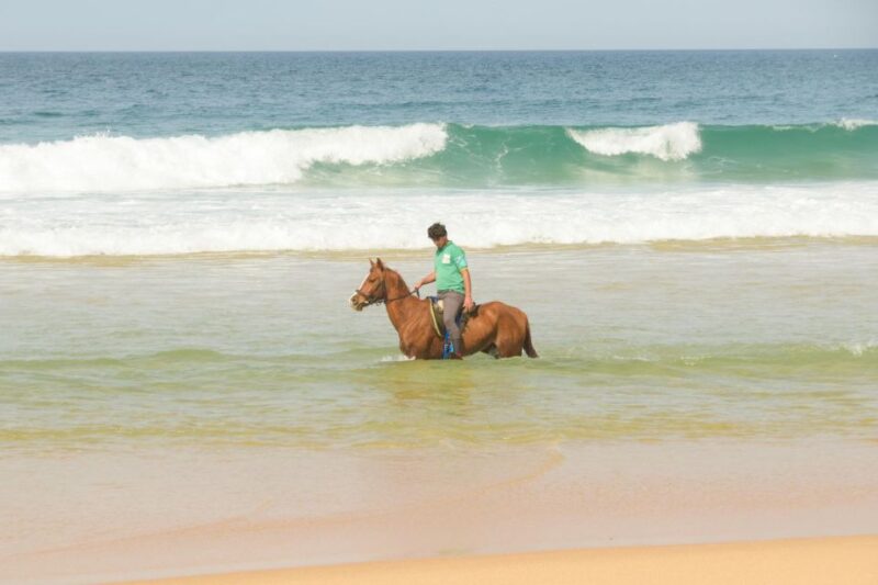From Evora: Horseback riding on comporta beach - Physical Requirements and Accessibility