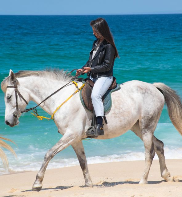 From Evora: Horseback riding on comporta beach - Small Group Experience and Multilingual Guides