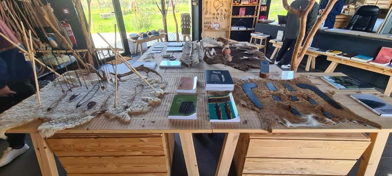 From Evora: Prehistoric Monuments and City Tour - Explore Evora and Its Enchanting Prehistoric Monuments in a Full-Day Adventure