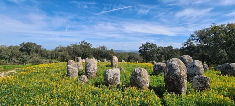 From Evora: Prehistoric Monuments and City Tour - Key Points