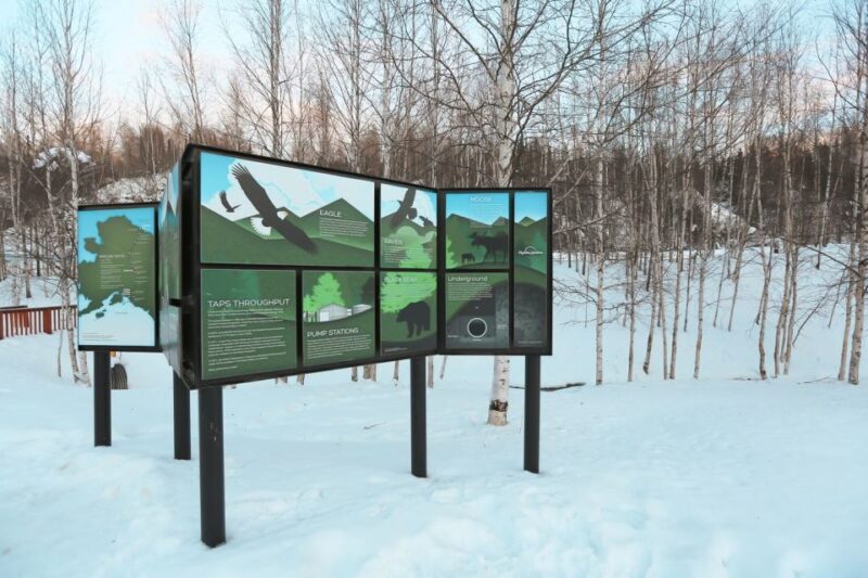 From Fairbanks: Arctic Circle Northern Lights Full-Day Trip - Starting the Journey from Fairbanks Hotels