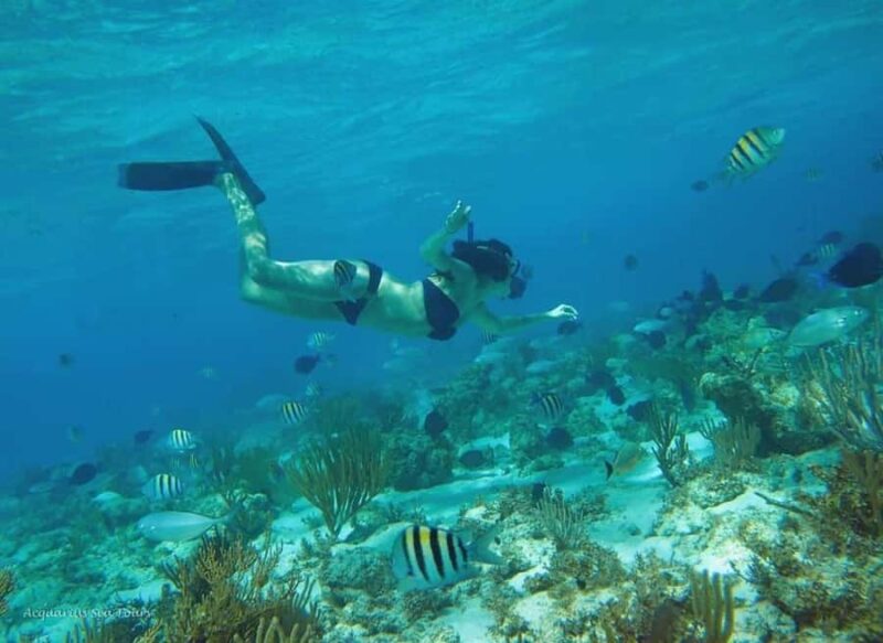From Fajardo: All-Inclusive Boat & Snorkeling in Culebra Island - Who Will Love This Tour