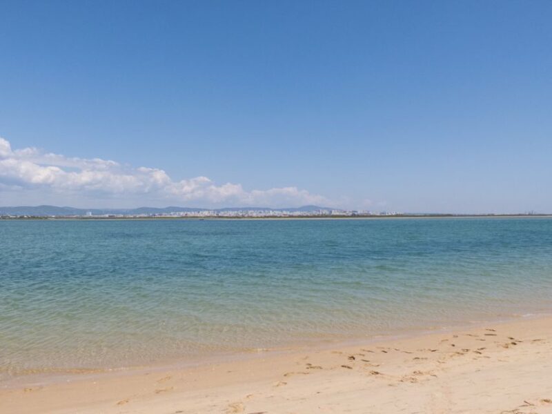 From Faro: 2-Hour Guided Bird Watching Boat Trip - Key Points