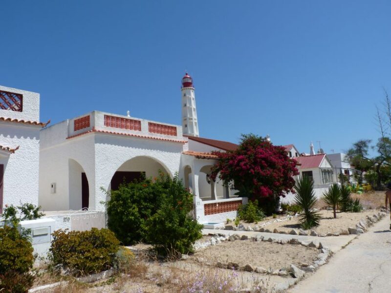 From Faro: 2-Island, 2-Stop Ria Formosa Catamaran Tour - Wildlife and Birdwatching Opportunities