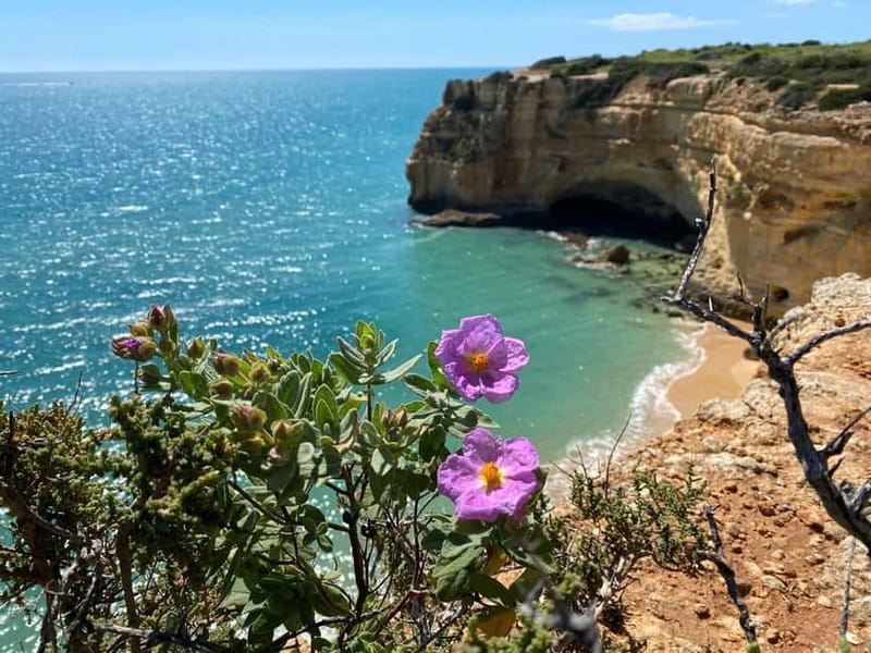 From Faro: Benagil Cave and Seven Hanging Valleys Trail Tour - Walking and Hiking Along the Algarve Coast