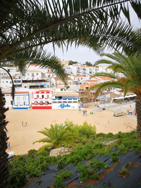 From Faro: Benagil Cave, Marinha, & Carvoeiro Full-Day Tour - Practical Tips for Travelers