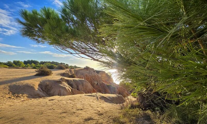 From Faro: Benagil Cliffs Hiking & 4 Treasures Experience - Why Choose This Tour Over Other Options