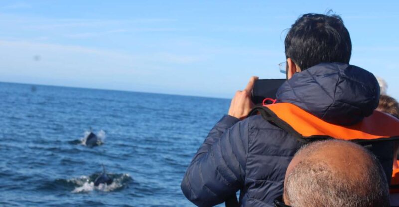 From Faro: Dolphin Watching & 2 Islands Tour - Discover the Faro Dolphin Watching & 2 Islands Tour