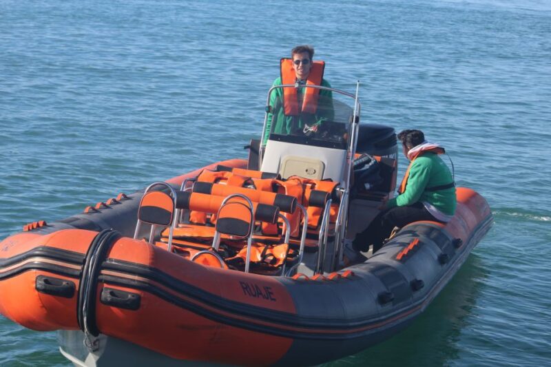 From Faro: Dolphin Watching & 2 Islands Tour - Exploring Ria Formosa’s Marine Ecosystem and Wildlife