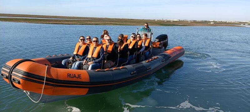 From Faro: Dolphin Watching & 2 Islands Tour - Final Thoughts on the Faro Dolphin Watching & 2 Islands Tour