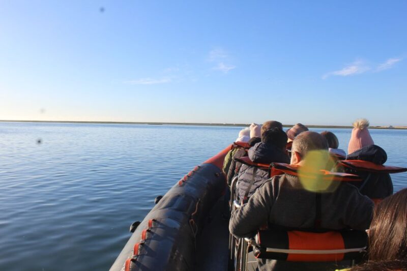 From Faro: Dolphin-Watching & Wildlife - Exploring the Ria Formosa Natural Park