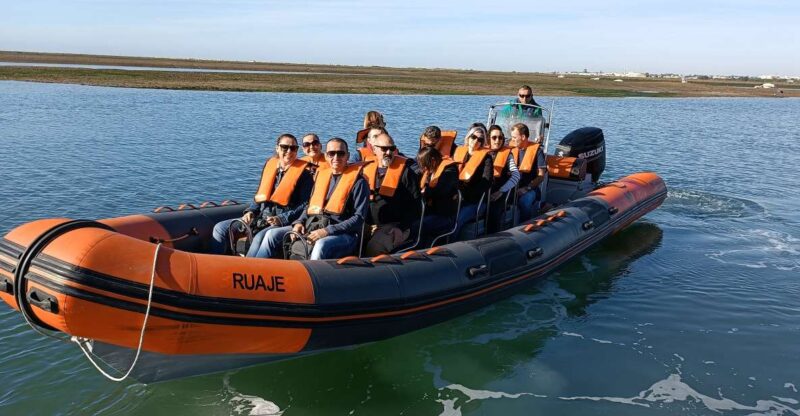 From Faro: Dolphin-Watching & Wildlife - Frequently Asked Questions