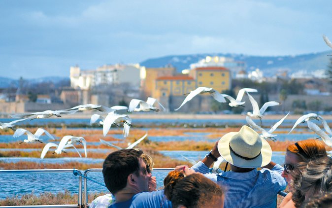 From Faro: Ria Formosa Eco Tour guided by Marine Biologist - Flexibility and Customization of Departure Times