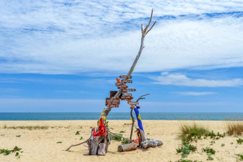 From Faro: Ria Formosa Eco Tour guided by Marine Biologist - Key Points