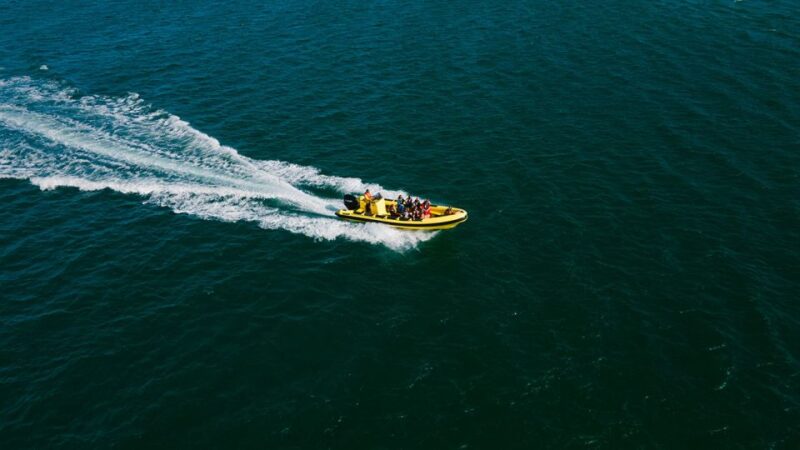 From Faro: Ria Formosa Hop-On Hop-Off 3 Islands Cruise - Exploring the Ria Formosa Islands from Faro