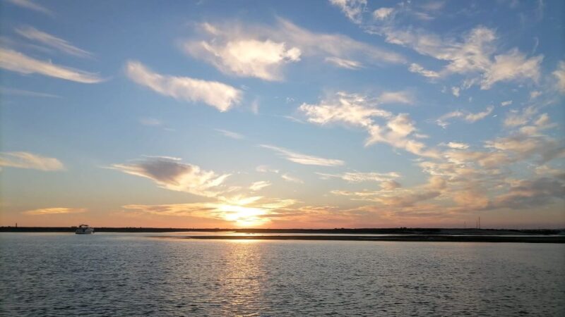 From Faro: Ria Formosa Sunset Boat Trip - Departure from Faro Marina at Eco Boat Tours