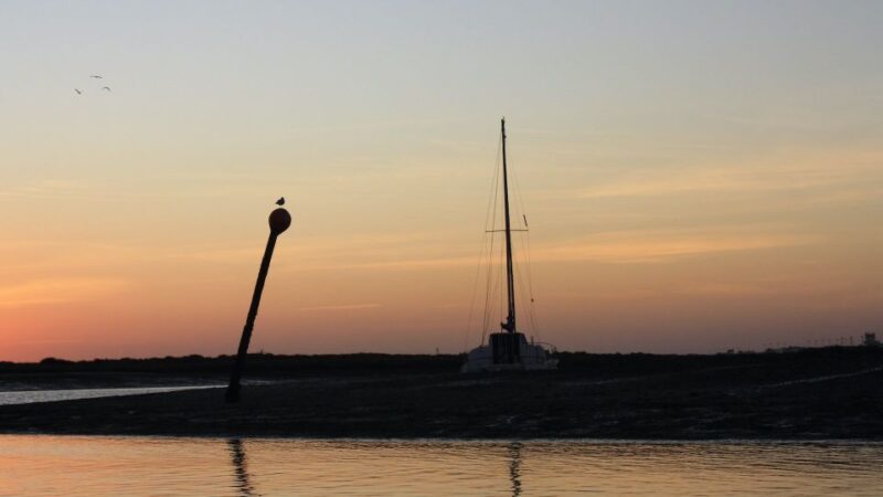 From Faro: Ria Formosa Sunset Boat Trip - The Guides and Commentary