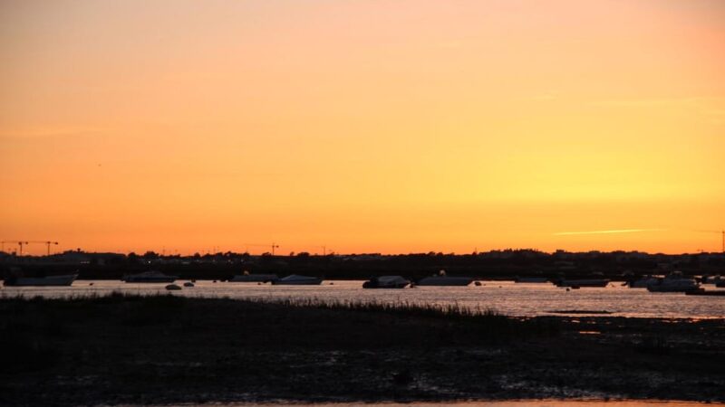 From Faro: Ria Formosa Sunset Boat Trip - Key Points