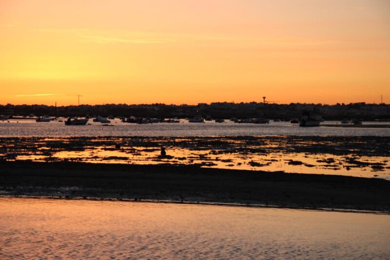 From Faro: Ria Formosa Sunset Boat Trip - The Experience Compared to Other Ria Formosa Tours