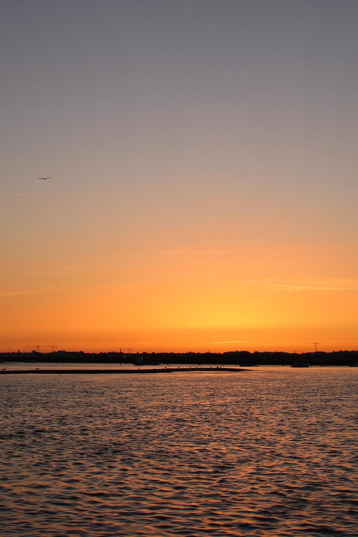 From Faro: Ria Formosa Sunset Boat Trip - Who Will Most Enjoy This Tour?