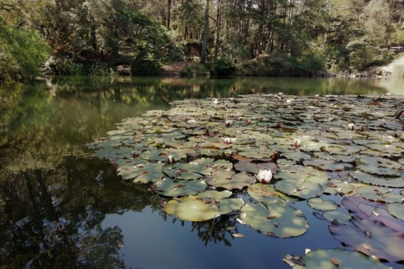 From Fátima: Sintra, Lisbon, and Cascais Private Tour - Explore Lisbon, Sintra, and Cascais on a Private Tour from Fátima for $108