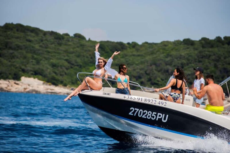 From Fazana: Dolphin watching and snorkeling in Blue Cave - Comparing Similar Experiences in the Area